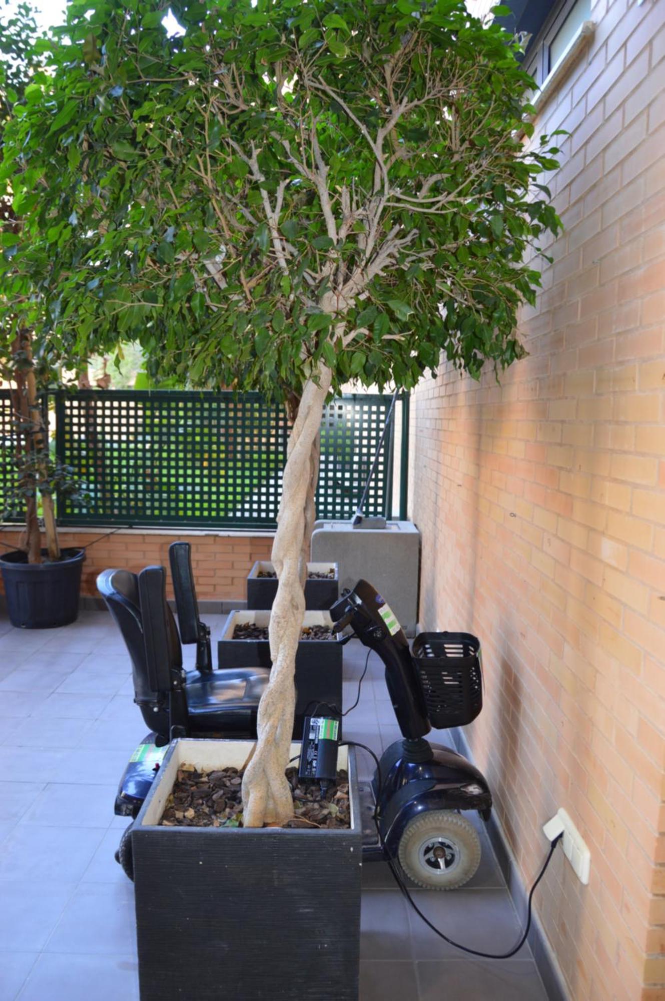 Albir Beach & Sun Apt El Albir Ngoại thất bức ảnh